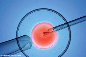 代怀生子机构